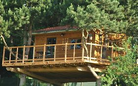 L'Etournelle - Cabane Perchée
